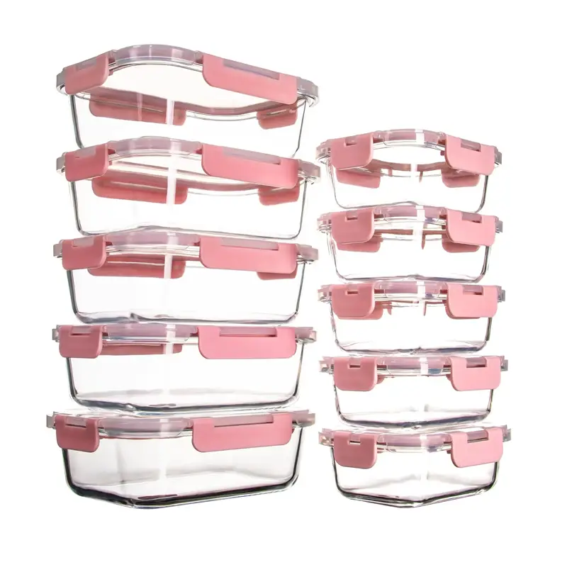 Large Food Storage Container for Family Packs